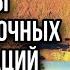 Древневосточные цивилизации Законы и право Древнего Египта и Вавилона