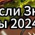 Танцуй Если Знаешь Эти Тренды 2024 года