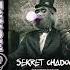 Sekret Chadow The Guitar Rumbles Original Mix