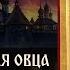 Божья радость почему заблудшая овца дороже послушного стада Телеканал Спас Завет