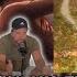Attack On Titan Season 2 Episode 12 Reaction Eren S Awakening And The Power Of The Coordinate