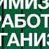 А Ракицкий Гипноз для оптимизации работы организма и восстановления баланса здоровья