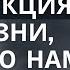Инструкция к жизни которую нам забыли выдать при рождении
