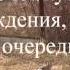 Собака для охраны особенности поведения бультерьера зверская сука