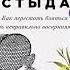 Чувство стыда Как перестать бояться быть неправильно воспринятым Илсе Санд Аудиокнига