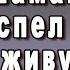 НИКТО НЕ ОЖИДАЛ ЧТО ИМЕННО ЭТО ЗАПОЁТ ШАМАН СМОТРЕТЬ ВСЕМ