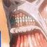 Attack On Titan Series XL TT