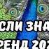 ТАНЦУЙ ЕСЛИ ЗНАЕШЬ ЭТОТ ТРЕНД 2024