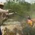 Why Farmers Set Cacti On Fire Science Cactus InfoBlaze