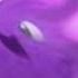 RQ All Preview 2 Classic Sunny Bunnies Deepfakes Does Respond