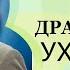 Как разговаривать с токсичными людьми Когда показать зубы а когда отступить