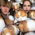 Много котиков не бывает