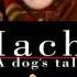 Hachi A Dog S Tale Jan A P Kaczmarek Goodbye