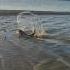 Азовское море Пиленгас Морозовская коса пеленгас рыбалка Fishing море