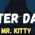 Mr Kitty After Dark Remix Tiktok Song