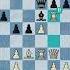 5 BRILLIANT MOVES IN A ROW