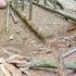 Girl Living Alone Making Furniture From Bamboo Daily Life