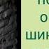 Зимовка пчёл в погребе в рогатых ульях