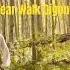 Bear Walk Qigong With Master Vivien Chao Now Live Qigong Vivienchao Balance