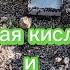 БОРНАЯ КИСЛОТА и МУРАВЬИ