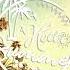 Angus Julia Stone Big Jet Plane Sonny Alven Remix