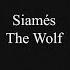 SIAMÉS The Wolf Karaoke