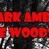 Sinister Dark Ambient Music The Woods