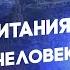 Беседа 26 Великобритания Больной человек Европы Евгений Бажанов Диалог цивилизаций