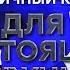 Большой благотворительный праздничный концерт ДЛЯ НАСТОЯЩИХ МУЖЧИН ЦСКА арена