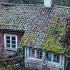 A Man Lived 60 Years Secluded From The World In His Abandoned Tiny House