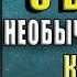 Беседы с Богом Необычный диалог Книга 1 Нил Дональд Уолш