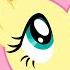 BEST Fluttershy Episodes 2 HOURS My Little Pony Friendship Is Magic