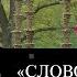 Ридинг группа по научной фантастике Слово для леса и мира одно Восьмая встреча