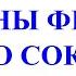 КНИГА КОЩУНЫ ФИНИСТА ЯСНО СОКОЛА Трехлебов А В 2022 2023 2024 2025