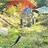 Girl Cleans The Farm Maintains The House From Old To New P2 Lives Alone In The Forest