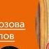 Читаем вслух Меир Шалев Папа меня позорит