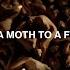 Swedish House Mafia And The Weeknd Moth To A Flame Official Lyric Video