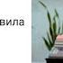 Конкуренция на трансграничных рынках ЕАЭС правила игры разбор кейсов ЕВРАЗИЙСКИЙ ПОДКАСТ