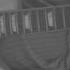 SCOTT JOPLIN MAPLE LEAF RAG Guitar Play Along
