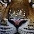 Powerful Recitation Of Surah Al Hajj Ayah 18 By Yasser Al Dossari