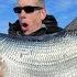 4 Day Fishing Hunting Catch Cook In An Inuit Village Best Ice Fishing In The World