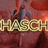 MASSIX SCHASCHLIK VLOG My Schaschlik De