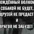 РОЖДЁННЫЙ ВОЛКОМ СОБАКОЙ НЕ БУДЕТ ДРУЗЕЙ НЕ ПРЕДАСТ И ВРАГОВ НЕ ЗАБУДЕТ