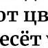 Сегодня этот цвет принесёт удачу