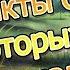 10 фактов о аниме Восхождение Героя Щита которые тебя удивят