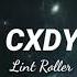 CXDY LINT ROLLER