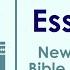 Bible Study Essentials Top Affordable Old And New Testament Surveys