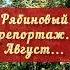 Рябина Целебный калейдоскоп Репортаж Август