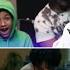 BTS J Hope MORE Official MV GROUP REACTION