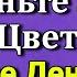 27 Мая Самое Денежное Новолуние Наденьте ЭТОТ Цвет сегодня Новолуние в мае